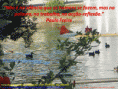 /album/galeria-de-fotos/quebrar-silencio-gif/